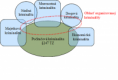 /album/fotogaleria/diagram-kriminalita-png1/